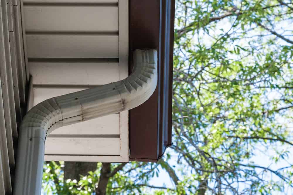 Prevent Birds From Nesting In Downspouts