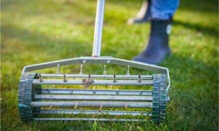When To Aerate Your Lawn In Utah
